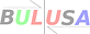Bulusa Express LLC logo