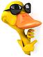 Duckin Truckin Express LLC logo