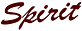 Spirit Truck Lines LLC logo