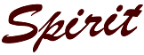 Spirit Truck Lines LLC logo