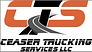 Ceaser Trucking Services LLC logo