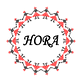 Hora Express Transportation LLC logo