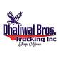 Dhaliwal Brothers Trucking Inc logo