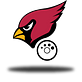 Cardinal Logistics Inc logo