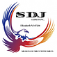 Sdj Express Inc logo