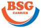 Bsg Carrier logo
