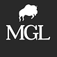 Mg Logistics Inc logo