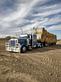 Swaney Trucking logo