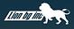 Lion Bg Inc logo