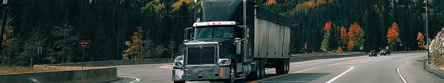 Ceaser Trucking Services LLC logo