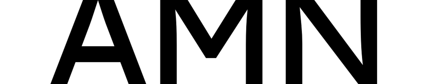 AMN Trucking LLC logo