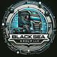 Black Sea Group LLC logo