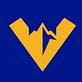 Mountain Valley Express logo