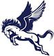 Pegaso Flatbed Express LLC logo