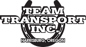 Team Transport Inc logo