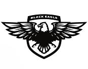 Black Eagle Transportation Inc logo