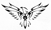 Falcon Transport Inc logo