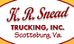K R Snead Trucking Inc logo