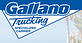 Gallano Trucking Inc logo