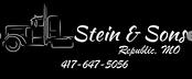 Stein & Sons logo
