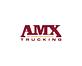 Amx logo