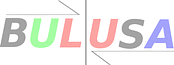Bulusa Express LLC logo