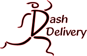 Dash Transit logo