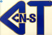 Ccnst logo
