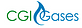 C G I International Inc logo