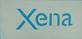 Xena International Inc logo