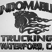 Indomable Trucking logo