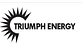 Triumph Energy Logistics LLC logo