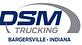 Dsm Trucking LLC logo