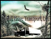 Denali Ridge Transport LLC logo