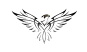Falcon Freight Inc logo