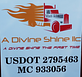A Divine Shine LLC logo