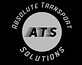Absolute Transport Solutions logo