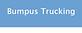 Bumpus Trucking logo