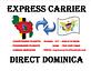 Express Carriers LLC logo