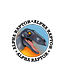 Alpha Raptor Trucking LLC logo