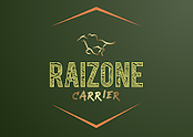 Raizone Carrier Inc logo