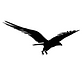 Black Eagle Transportation LLC logo