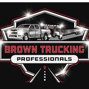Btp Trucking Or Brown Trucking Professionals LLC logo