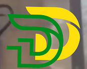 Dash Delivery LLC logo