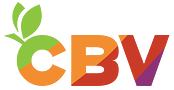 Cbv Inspections LLC logo