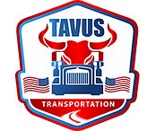 Tavus LLC logo
