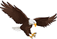 Eagles Delivery LLC logo