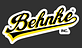 Behnke Inc logo