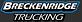 Breckenridge Trucking Inc logo