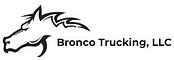 Bronco Trucking LLC logo